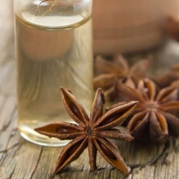 Anise Oil